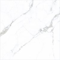 white carrara